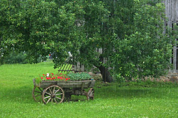 piknik